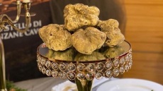 Νέο ρεκόρ. Μία λευκή τρούφα πωλήθηκε 103.000€ για καλό σκοπό!