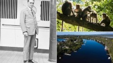 Χένρι Λέιτον Τζόουνς: Ο γιατρός που έψαχνε το ελιξήριο της νεότητας στα γεννητικά όργανα πιθήκων 