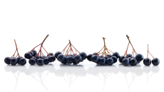 Μια εναλλακτική πρόταση… για τα επιχειρηματικά σας δώρα