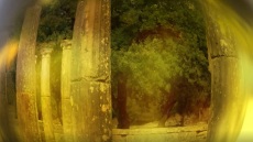 Πώς να ξεχωρίζουμε το πραγματικά καλό ελαιόλαδο