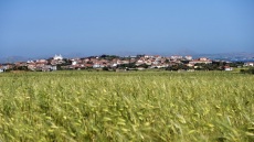 Η οικογένεια που φέρνει στο πιάτο μας προϊόντα από ξεχασμένες ποικιλίες σπόρων της Λήμνου