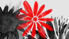 «Το Σημάδι Του Θεού», το νέο τραγούδι από τη σειρά «Η Γη Της Ελιάς», ερμηνεύει ο Κώστας Μακεδόνας 