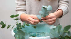 Πνεύμονες: Το αντιοξειδωτικό συστατικό που τους προστατεύει