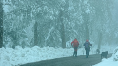 Καιρός: Live η ψυχρή εισβολή της κακοκαιρίας Κάρμελ - Δείτε πού χιονίζει και ποιοι δρόμοι είναι κλειστοί 