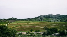 Οι πιο περιζήτητες -και ανώτερες διατροφικά- φακές στην Ελλάδα καλλιεργούνται στη Λευκάδα!