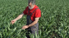 Αναγεννητική γεωργία: Είναι το κλειδί ενάντια στην κλιματική αλλαγή;