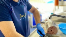 Δύο αδέλφια, τρίτη γενιά ιχθυέμπορων, βάζουν τους θησαυρούς της θάλασσας της Λέρου σε βαζάκια