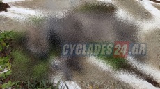 Κτηνωδία στη Σίκινο: Δηλητηρίασαν 35 γάτες