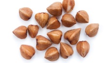 Tι είναι το φαγόπυρο;