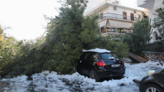 Δήμος Αθηναίων-Χιόνια: Αποζημιώνονται οι ιδιοκτήτες αυτοκινήτων που υπέστησαν ζημιές από πτώσεις δένδρων