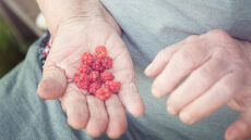 Νόσος Πάρκινσον: Τα φλαβονοειδή που προσθέτουν χρόνια ζωής – Σε ποια τρόφιμα περιέχονται