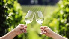 Πώς να συμμετέχετε σε 13 οινοτουριστικές διαδρομές;