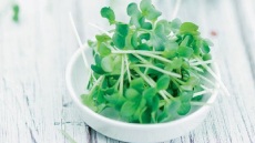 Κάρδαμο ή καρδάμωμο;