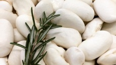 Η οικογένεια Τζίμα καλλιεργεί στα 1.100μ. υψόμετρο τα περίφημα βιολογικά φασόλια γίγαντες Λάιστας Ζαγορίου