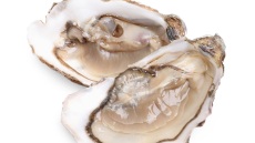 Πώς διαλέγουμε φρέσκα όστρακα;