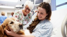 ΤΕΠ: Ο «θεραπευτής» που διώχνει το στρες των ασθενών στα επείγοντα