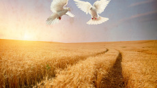 Τρυφερότητα: Η Καίτη Γαρμπή και ο Γιάννης Πλούταρχος ενώνουν για πρώτη φορά τις φωνές τους