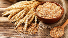 Πόλεμος στην Ουκρανία: Έως και 6 δισ. δολάρια μπορεί να χάσει το Κίεβο επειδή σταμάτησαν οι εξαγωγές σιτηρών