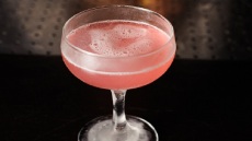 Pink cocktail: Φτιάχνουμε ροζ κοκτέιλ με βάση το τζιν