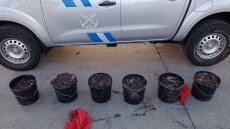 Ψάρευε παράνομα ολοθούρια στην Κεραμωτή Καβάλας