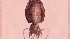 Σουπιές πανούργες στο μελάνι τους (+Συνταγή)