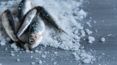 Υγρή και ξηρή άλμη: πώς τις φτιάχνουμε, πού τις χρησιμοποιούμε