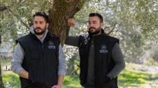 Ο Δημήτρης και τα αδέλφια του παράγουν εξαιρετικό παρθένο ελαιόλαδο στη Θράκη