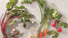 Χόρτα και βολβοί της Άνοιξης: Με τι ταιριάζουν, πώς τα χρησιμοποιούμε