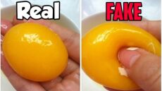 Υπάρχουν και Fake αυγά - Επιστημονική μελέτη για τον εντοπισμό της απάτης