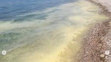 Πάτρα: Κιτρίνισε η θάλασσα στις παραλίες της πόλης - Ανησυχούν οι πολίτες