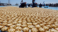 Στο βιβλίο Guinnes το Ηράκλειο για το «Μεγαλύτερο Μωσαϊκό από 37.531 Καλιτσούνια»