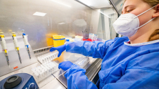 OrganEx: Επιστήμονες στις ΗΠΑ «ανέστησαν» ζωτικά όργανα ζώων μετά το θάνατο τους