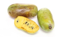 Η αναβίωση ενός ξεχασμένου αμερικάνικου φρούτου