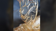 Πώς να φτιάξετε τα διάφανα πατατάκια και να εντυπωσιάσετε την παρέα σας;