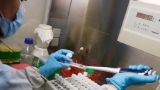 Ψαλτοπούλου για ευλογιά των πιθήκων: Τι πρέπει να προσέχουμε και πώς θα είναι το φετινό καλοκαίρι με τον κορωνοϊό