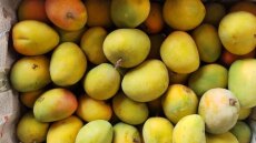 Περού: Κατασχέθηκαν 4 τόνοι κοκαΐνης 