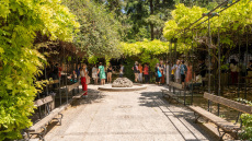 Evia Film Project: Όλο το πρόγραμμα