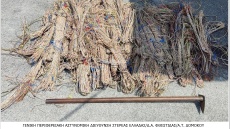 Δομοκός: «Κυνηγοί» χαλκού ξήλωναν καλώδια από το δίκτυο του ΟΣΕ