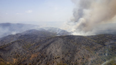 Τουρκία: Συνελήφθη ύποπτος για τη φωτιά στη Μαρμαρίδα - Μέθυσε και έβαλε φωτιά στο δάσος επειδή καυγάδισε με συγγενείς του