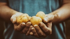 Το άσχημο γίνεται όμορφο