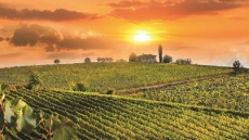 Ο Κωνσταντίνος Λαζαράκης μας ξεναγεί στον διεθνή αμπελώνα (Ιταλία, Ισπανία): Barolo, Chianti, Rioja