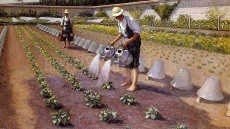 Το φαγητό αλλάζει: η πρώτη ύλη σε πρώτο πλάνο