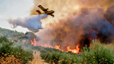 Φωτιά στη Φυλή, κοντά στο γήπεδο του Θρασύβουλου
