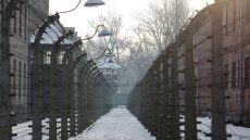 Τέφρα 8.000 ανθρώπων βρέθηκε κοντά σε ναζιστικό στρατόπεδο στην Πολωνία