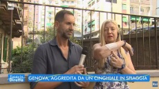 Ιταλία: Γυναίκα δέχθηκε επίθεση από αγριογούρουνο σε παραλία στη Γένοβα – Δείτε βίντεο