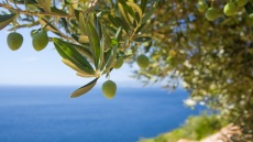 Η Ελλάδα στην έκθεση National Geographic Traveller Food Festival