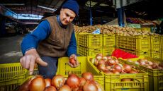 Εισαγωγές: Αυξημένες κατά 36,96% οι εισαγωγές φρούτων και λαχανικών τον Μάρτιο 2024	