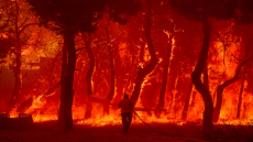 Λέσβος: Πύρινες γλώσσες έκαψαν σπίτια στα Βατερά - Δείτε βίντεο και φωτογραφίες