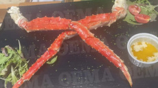 «Καμπάνα» 31.000 ευρώ στο DK Oyster της Μυκόνου με τα «χρυσά» καβουροπόδαρα 