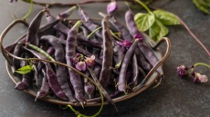 Το ξέρατε ότι υπάρχουν μοβ φασολάκια; 